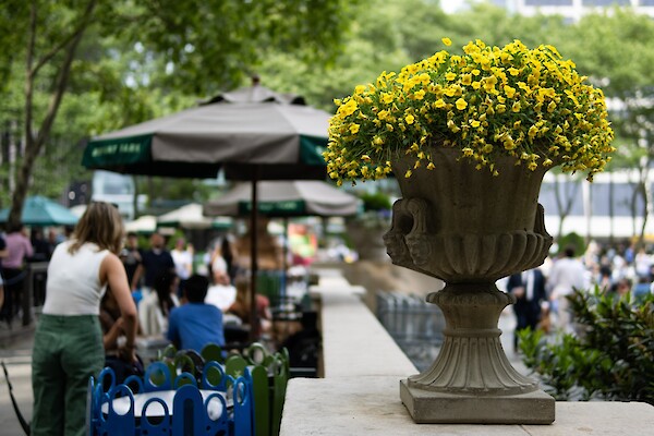 Local neighborhood amenities near 260 Madison Avenue, including Bryant Park and premier Midtown Manhattan dining and retail destinations.